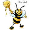 honey bee