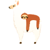 Sloth Sleeping On Alpaca