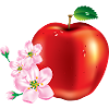 Apple with cherry blossom design