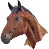 Cheval poly