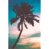Palm tree
