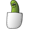 Pocket Pickle # 2