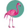 flamingo