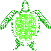 Green eyed sea turtle turtle