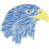Power animal hawk blue hawk bird eagle gift