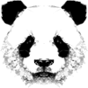 Panda head