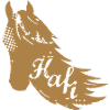 Hafi Portrait