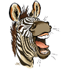 Zebra laughing