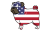 American Flag Pug