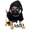 yo_mops_3
