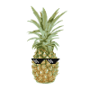 Th .. Life pineapple gift idea
