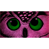 hibou