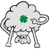 kiss me, I'm Irish