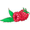 raspberries