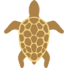 sea turtle