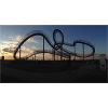 Tiger & Turtle