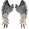 Wings wings