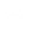 T2
