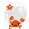 Zodiac sign cancer zodiac