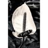 Fleur Cala Butterfly Noir Blanc