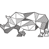 Rhino geometric