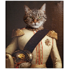 Cat Soldier