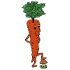 Carottes heureuses illustration
