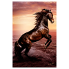Cheval sauvage, liberté et esprit indomptable