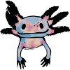 Axolotl