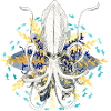 squid