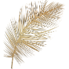 Goldfeder