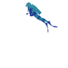 Diving - Diver - Scuba Diving - Heartbeat