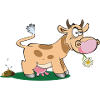 Crazy cow