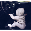 Car baby