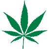Cannabis leaf