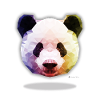 Panda poster