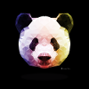 Panda Poster schwarz