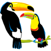 Toucan Couple Cool Shirt