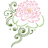 Lotusblomst med liljepute. Lotus.