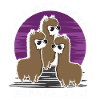 Préparez-vous pour l'alpakalypse