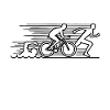 Triathlon et sport