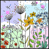 fleurs