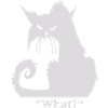 What cat funny shirt