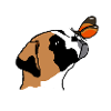 Boxer avec papillon