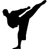 martial Arts