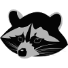 Waschbär ,Racoon