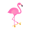 Planche à roulettes Flamingo