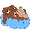 Hasi auf wolke