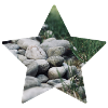 Nature star