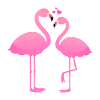 Amateurs de flamants roses